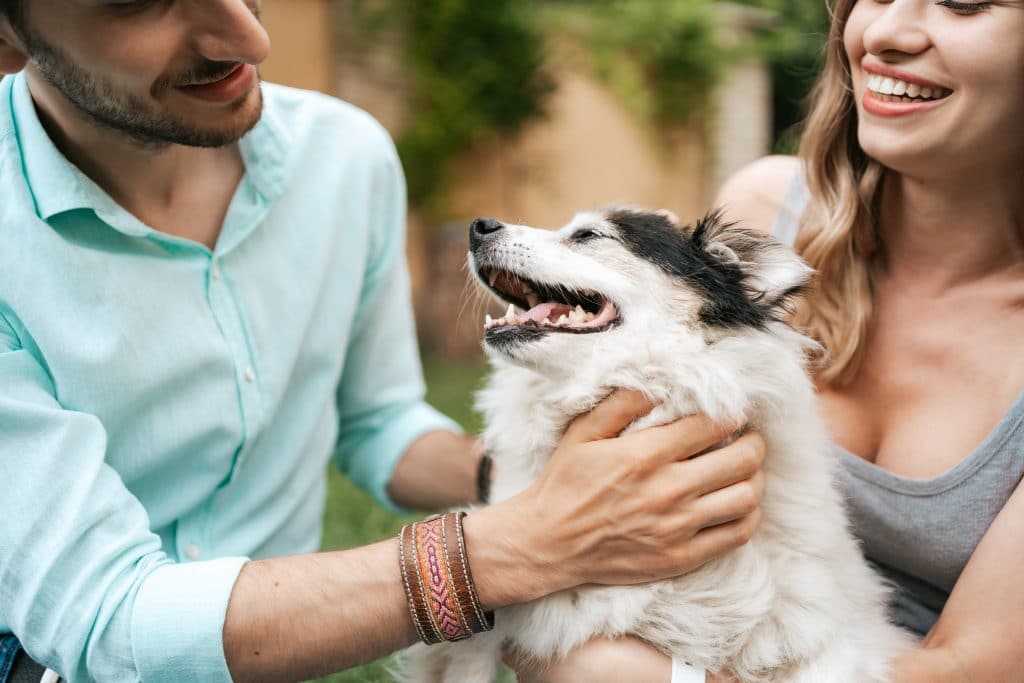 pet na saúde mental humana